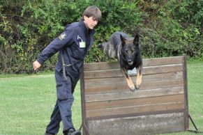 FOTO Policejní výcvik psů