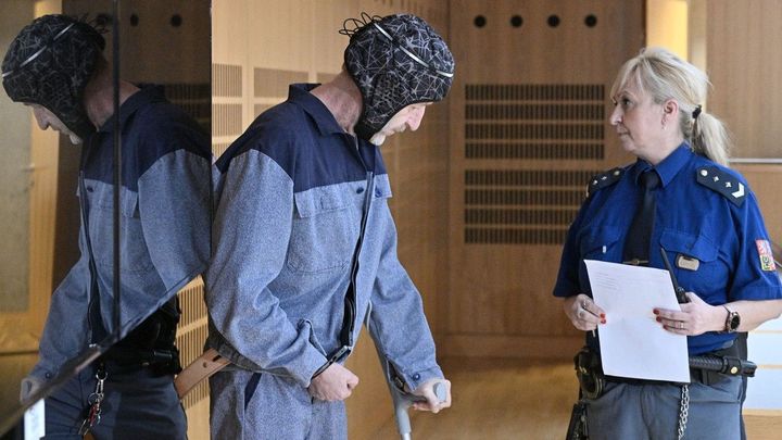 Lobbistu Janouška soud předčasně propustil z vězení, vyhověl jeho stížnosti; Zdroj foto: ČTK