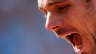 Navzdory papírovým předpokladům Stan Wawrinka překvapil tenisový svět a ve finále French Open porazil favorizovaného Novaka Djokoviče 4:6, 6:4, 6:3 a 6:4. Podívejte se na fotografie z pařížského tenisového dramatu.