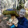 37 soutěžní výběr 2017