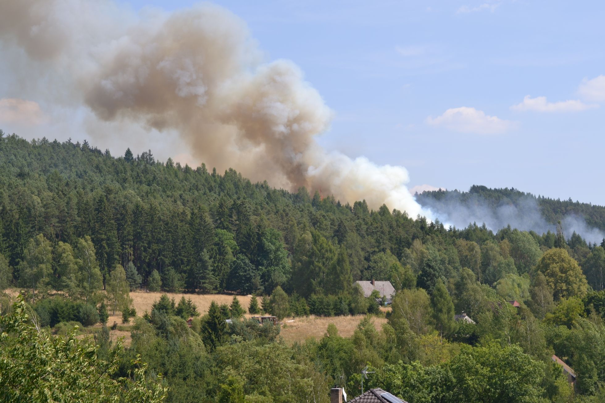 Požár lesa na Rokycansku