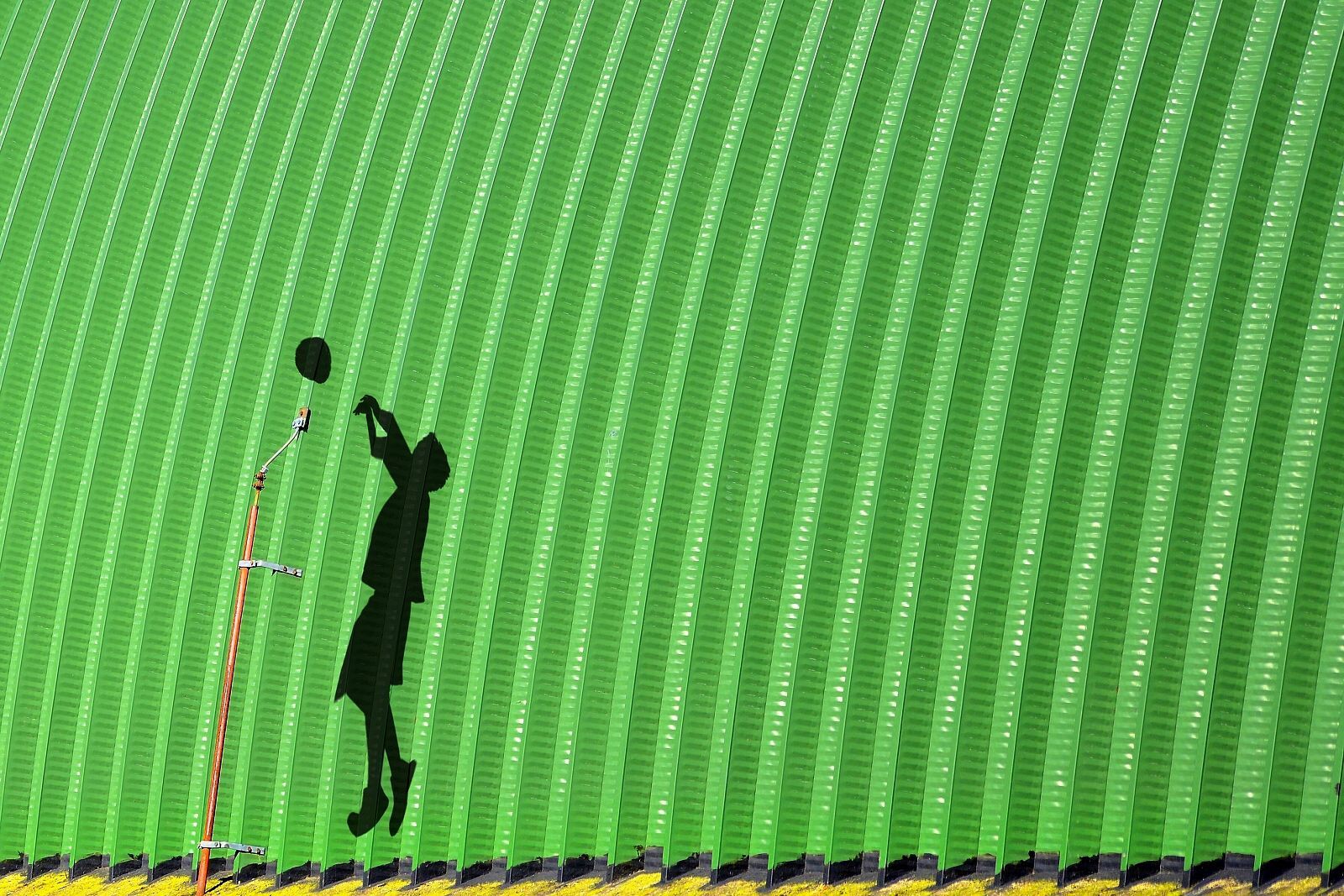 Nikon kalendář 2020