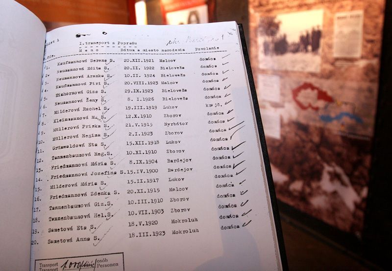 Holocaust: projekt vagón