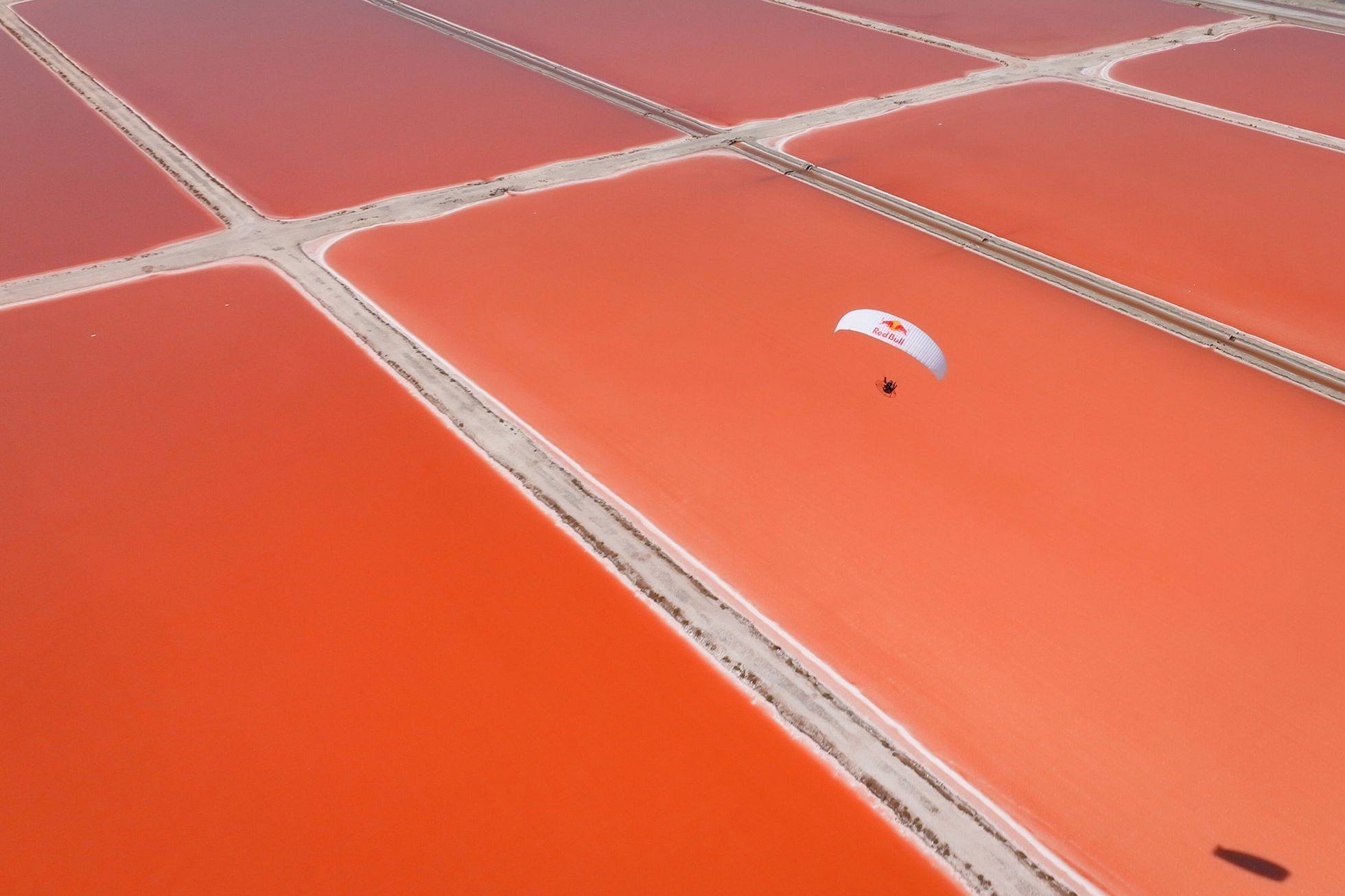 Bláznivé sportovní výkonu roku 2024 na fotkách špičkových fotografů