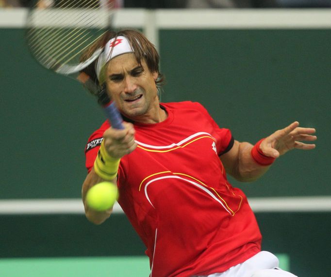 Finále Davis Cupu, zápas Radek Štěpánek - David Ferrer