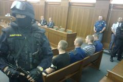 Žhářům z Vítkova navrhuje stát 15 až 25 let vězení