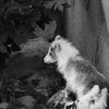 Week of Life - Jan Vrba - 2.7.12 - 3