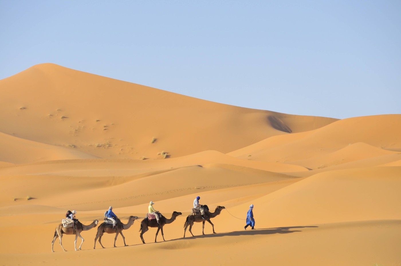 Sahara poušť karavana velbloudi