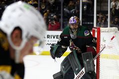 Vejmelku gól od Pastrňáka nerozhodil, byl druhou hvězdou zápasu s Bostonem