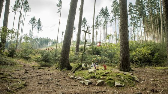 "Ona byla podkošerována!" V Polné po stopách hilsneriády, kterou spustila vražda