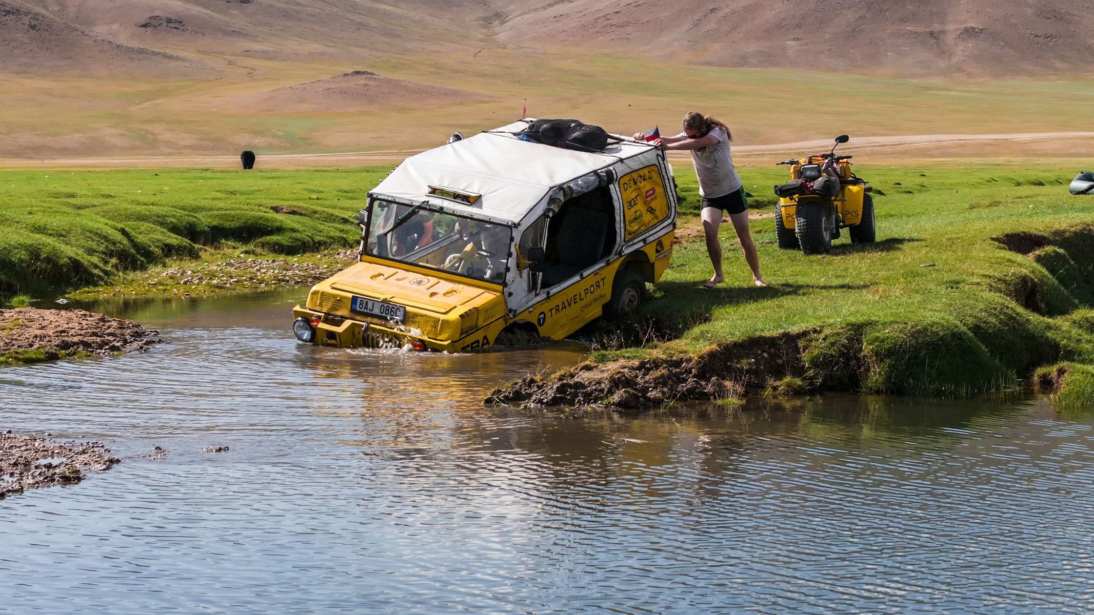 Žlutá žába pluje