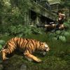 Tomb Raider: Underworld