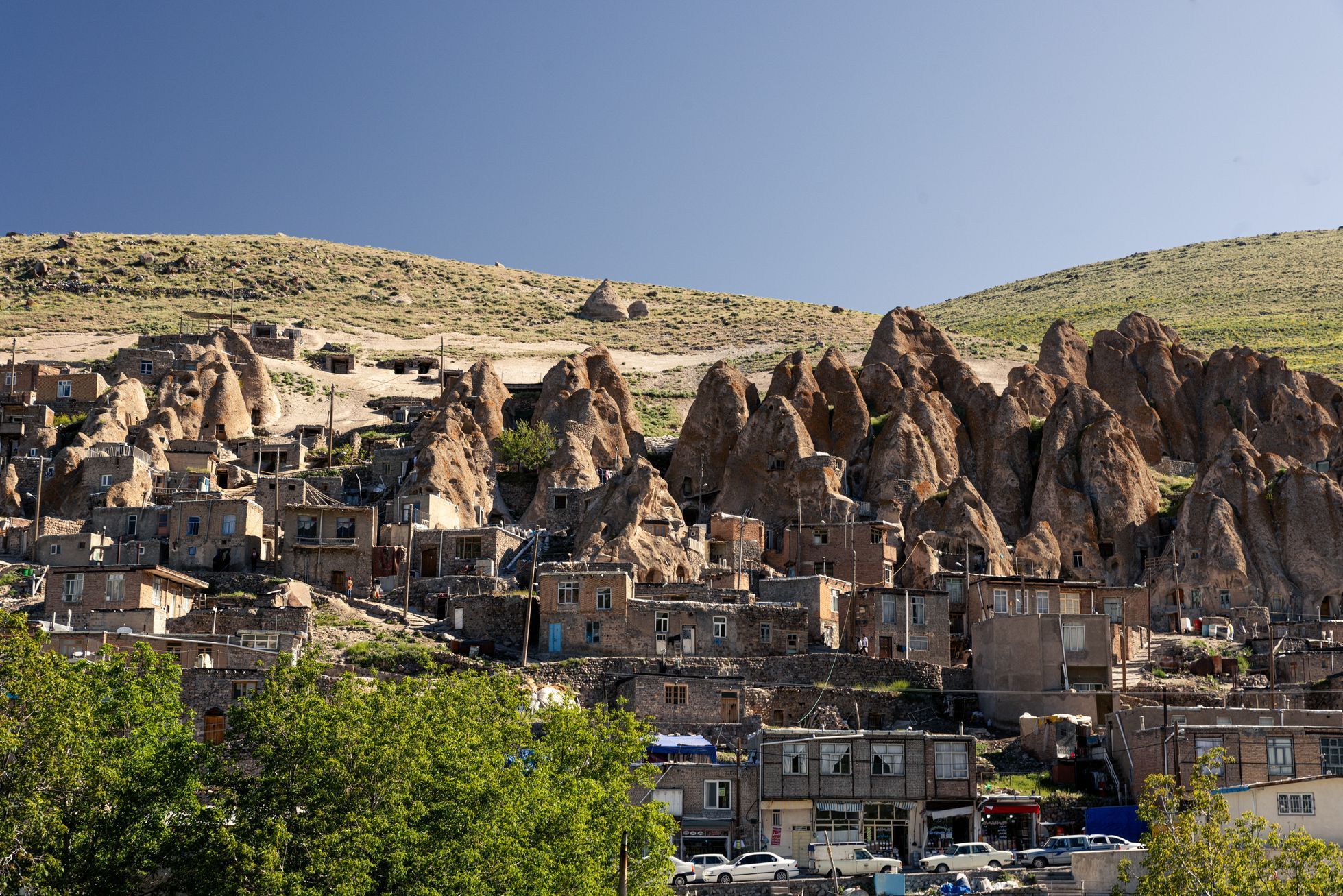 žlutá žába irán O7