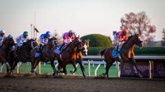 Horse Racing: 37th Breeders Cup World Championship