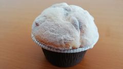 ČOI stažený výrobek muffin