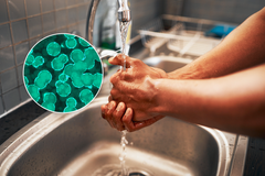 Smrtící bakterie se šíří Českem. Zabije šestinu nemocných, škodí i ceny energií