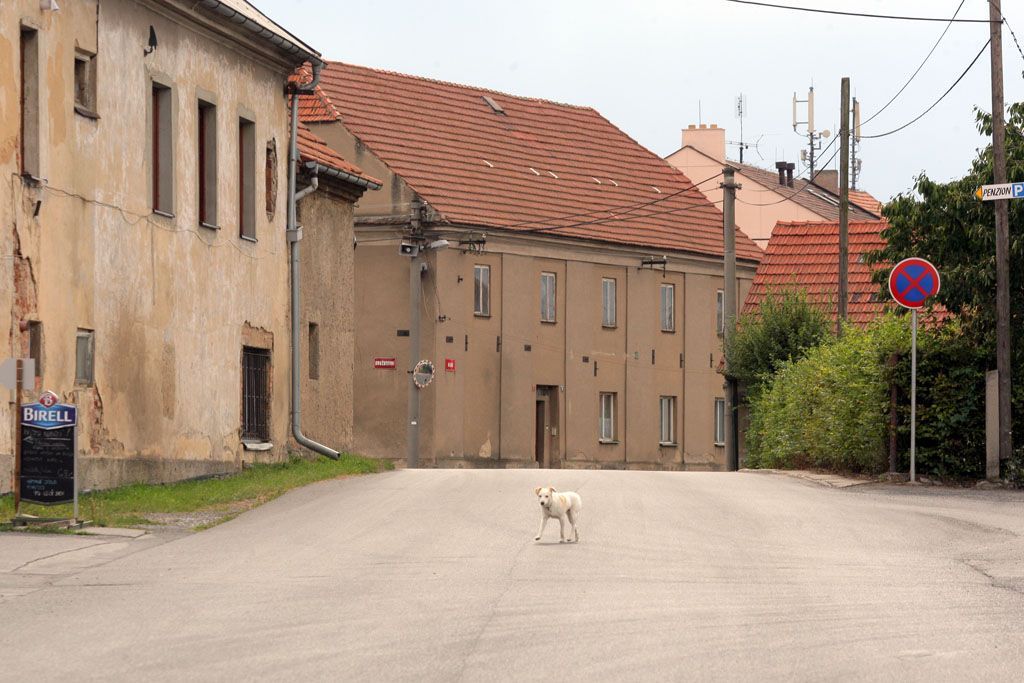 TOP a Starostové v Hostivici zahájili kampaň
