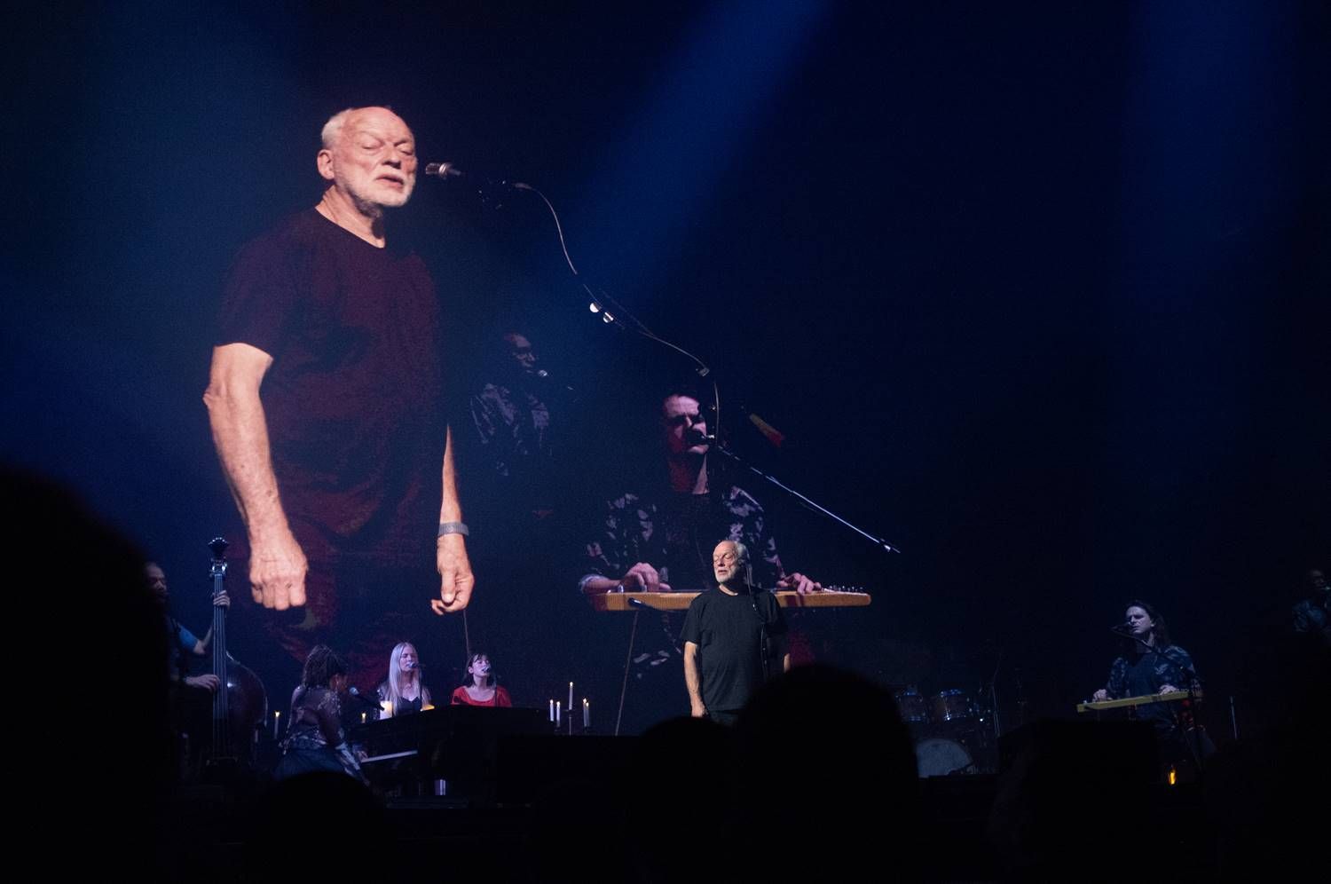 Michael Hanke: snímky z koncertů Davida Gilmoura v londýnské Royal Albert Hall v rámci turné k novému albu Luck and Strange