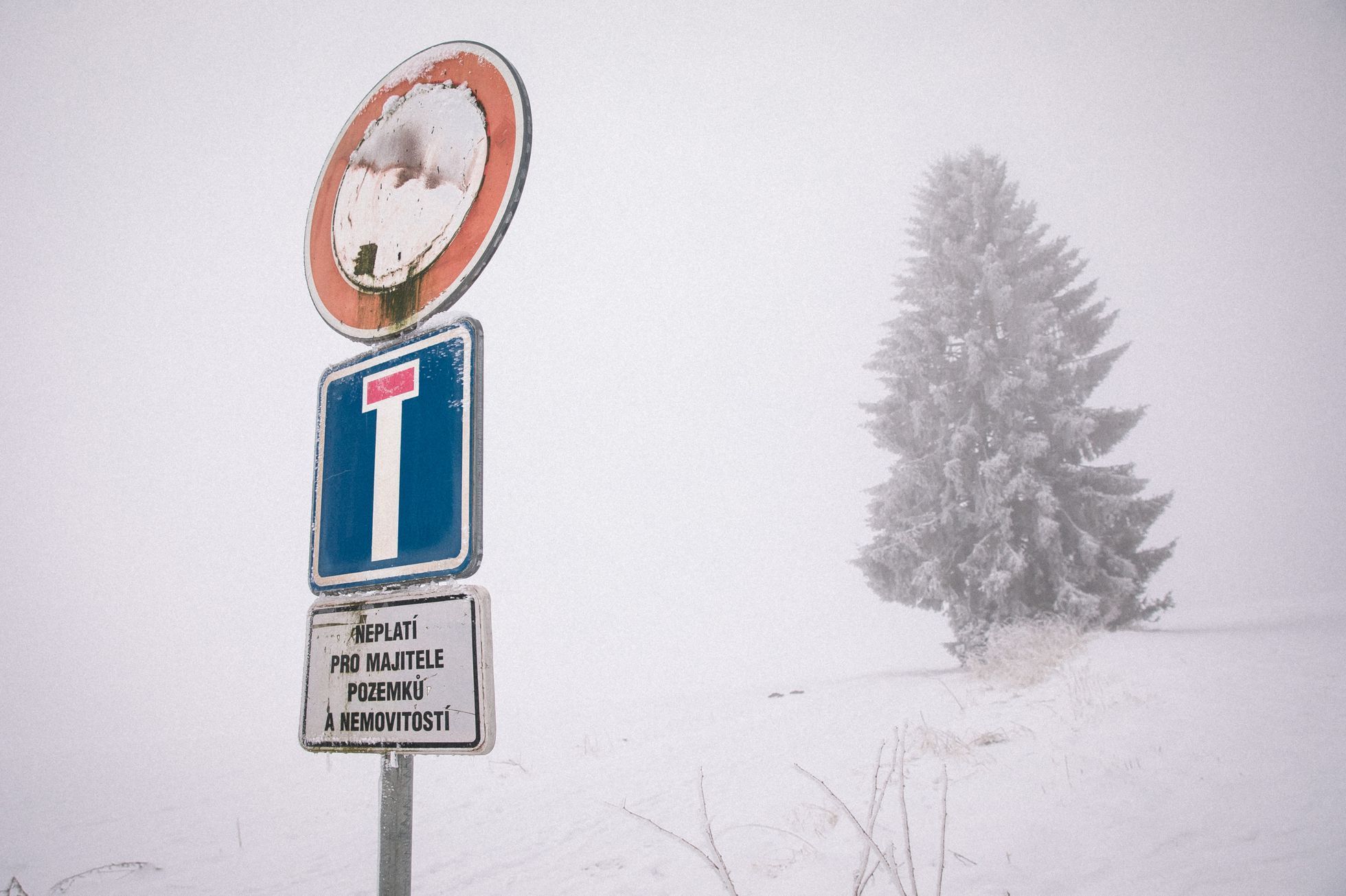 Lipno nad Vltavou v zimě, turismus, sníh