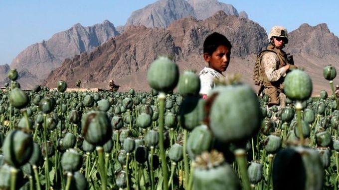 Produkce opia v Afghánistánu minulý rok klesla o 19 procent
