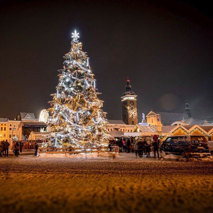 Pohled na vánoční strom na náměstí Přemysla Otakara II. v Českých Budějovicích, 2.12. 2023.