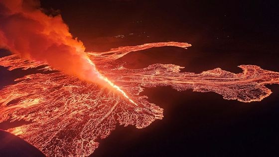 Island, sopka, Reykjanes,