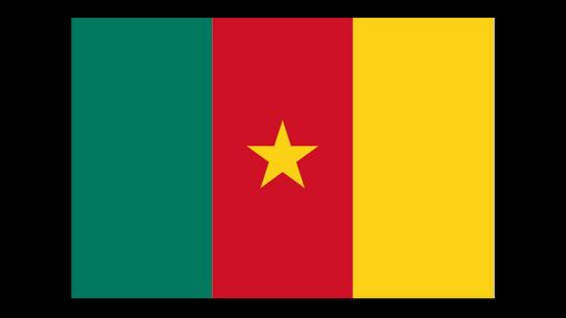 Vlajka Kamerunu - sport