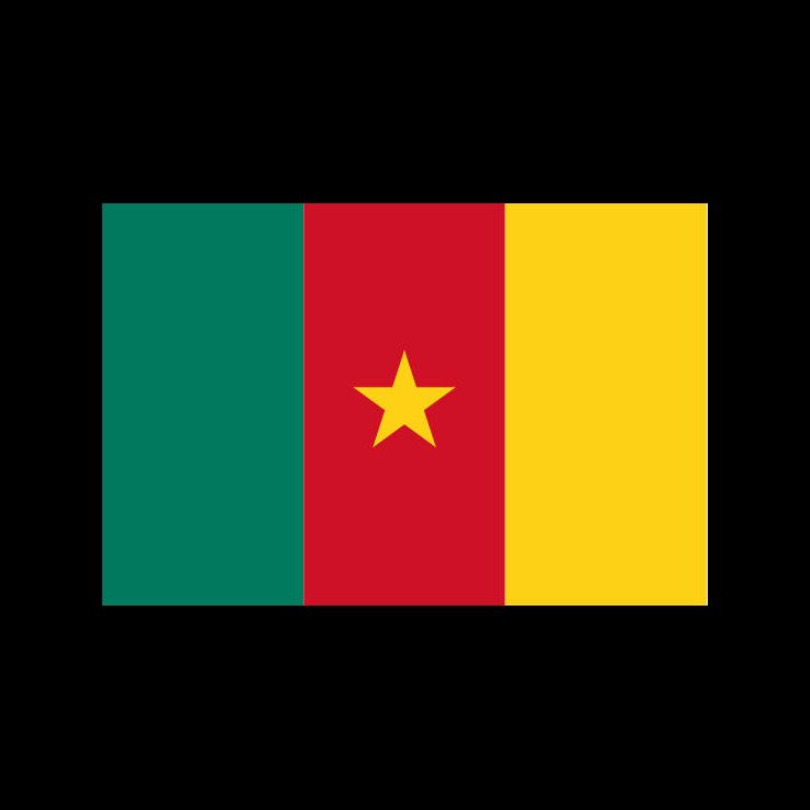 Vlajka Kamerunu - sport