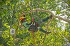 Mobil plný fotek hrobů. Vypadá to jako úchylka, ale má to svůj důvod, říká arboristka