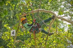 Mobil plný fotek hrobů. Vypadá to jako úchylka, ale má to svůj důvod, říká arboristka