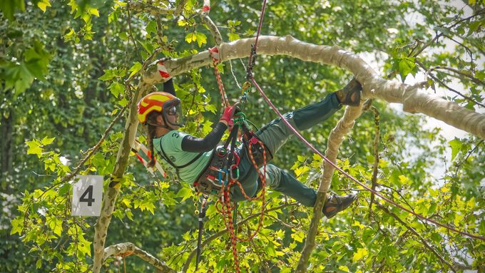 Kácení bere Anna jako krajní řešení a upozorňuje, že lidé často přicházejí s absurdními důvody: že listí padá na auto, že stíní, že ruší signál.