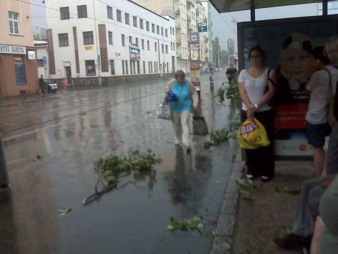 Po ulicích poletovaly ulámané větve. Praha - Holešovice, čtvrtek 23. 7. po páté hodině večerní.