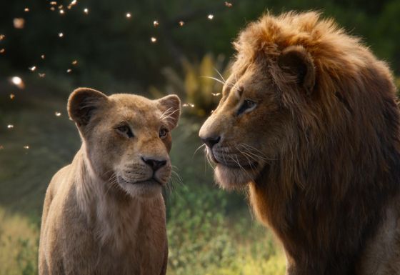 Snímek z nového Lvího krále.