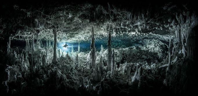 Vítězové soutěže Underwater Photographer of the Year 2021