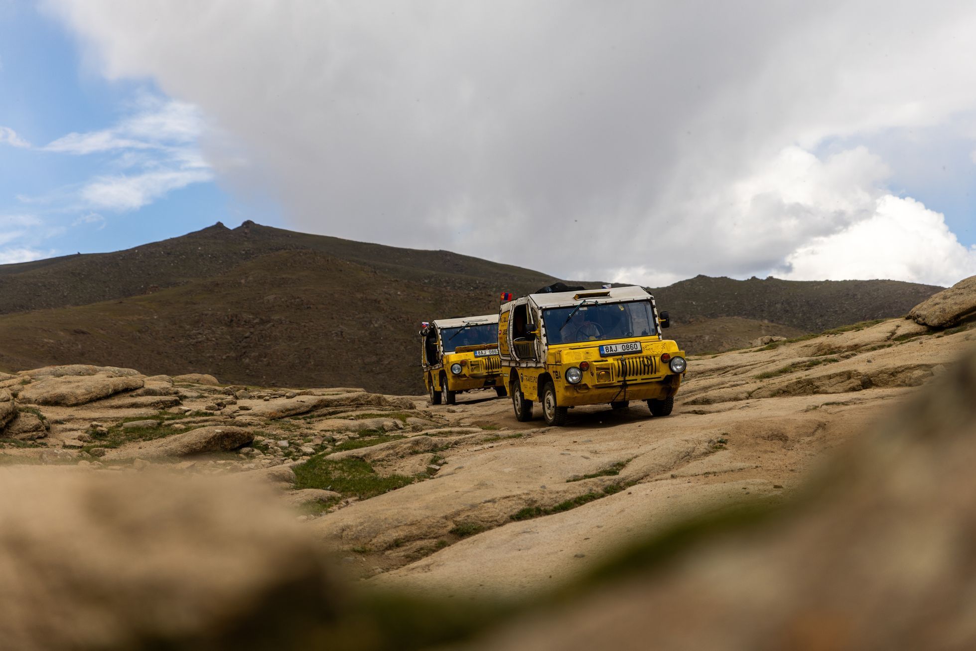 Žlutá žába pluje