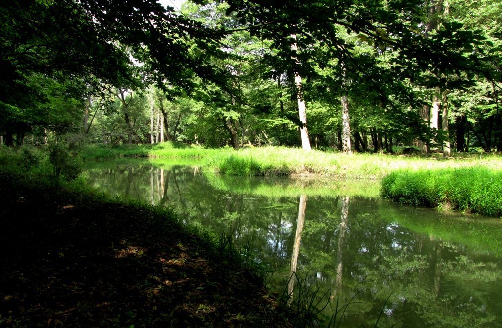 Moravská Amazonie u Lanžhotu