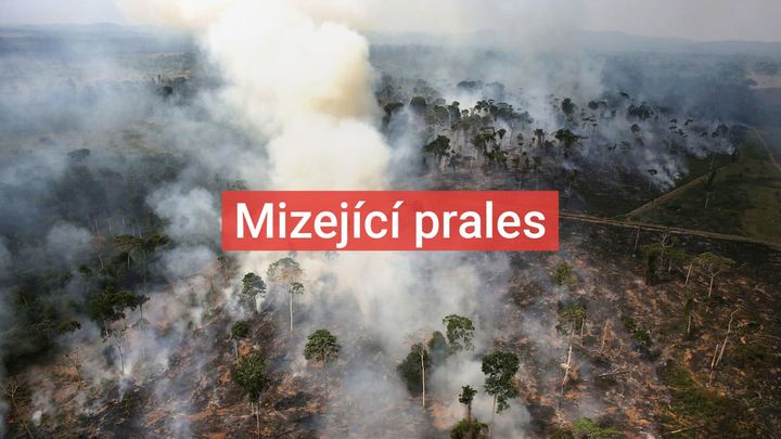 Nahlédněte do útrob Amazonie: Plíce planety jsou nemocné, prales je blízko bodu zlomu