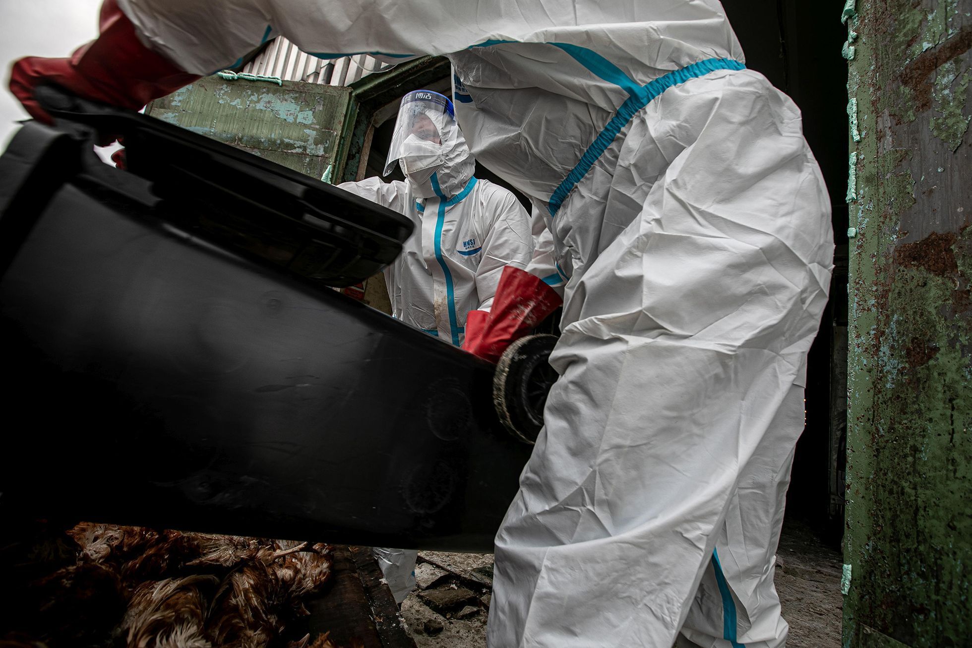 Czech Press Photo 2021 - vítězné snímky v kategorii Životní prostředí