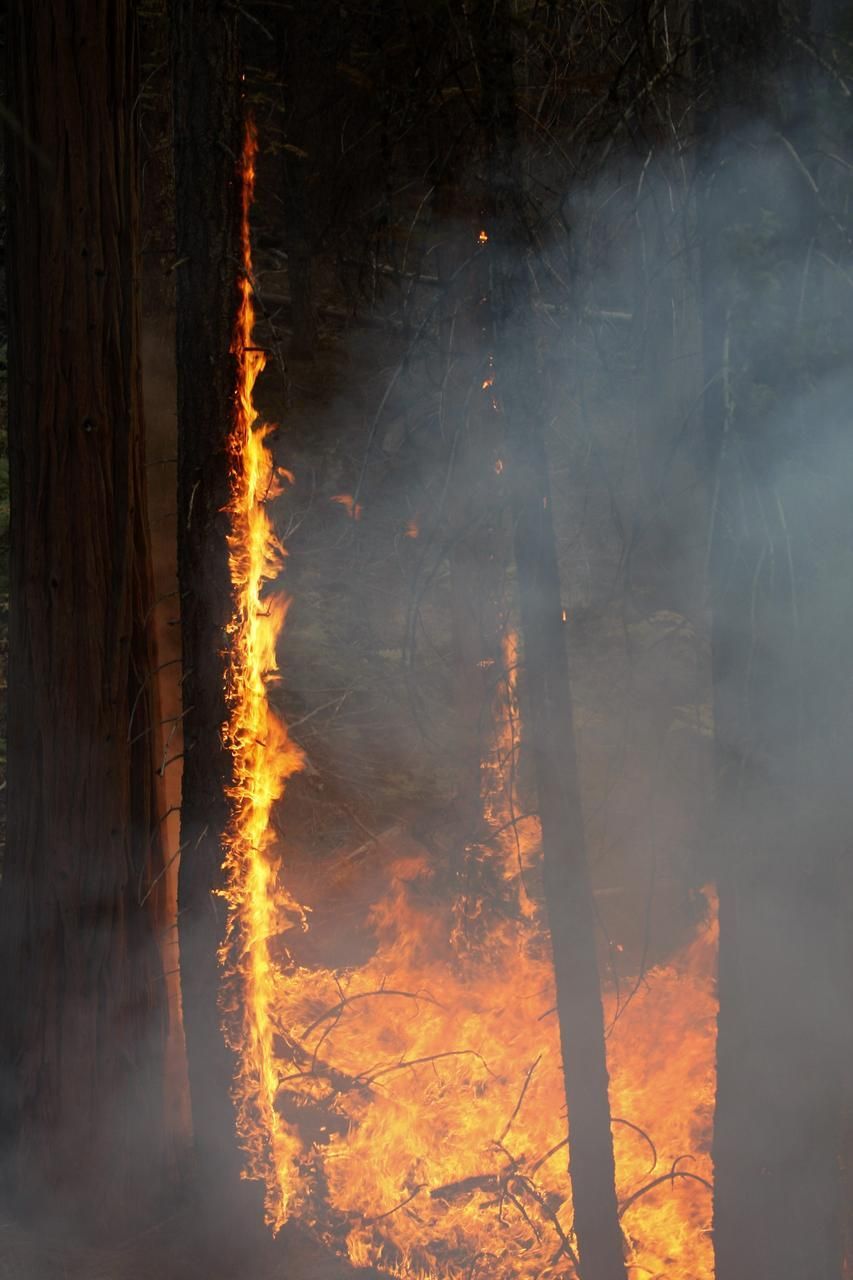 Požár požírá Yosemitský národní park
