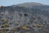 Požáry ve Španělsku ohrožují například i národní park u města Monsagro, kde žijí vzácné druhy ptactva.