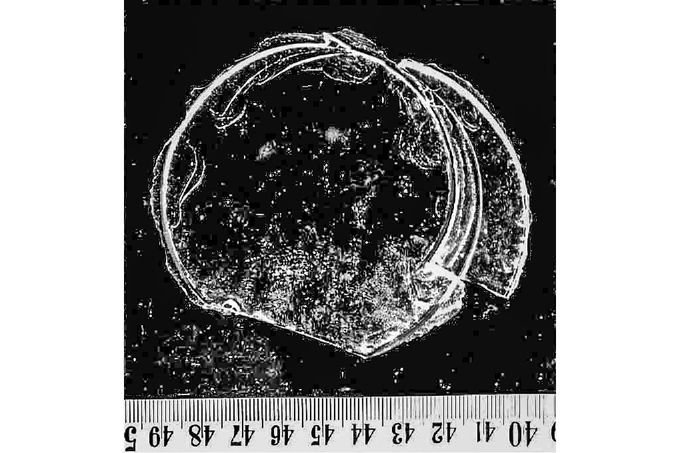Fragment skla z okna v Petrozavodsku, dokumentace události s neobjasněnými otvory v oknech, říjen 1977 – začátek 1978