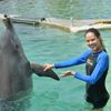 Ana Ivanovičová si hraje s delfíny v Miami - facebook