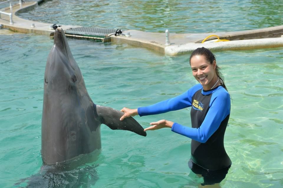 Ana Ivanovičová si hraje s delfíny v Miami - facebook