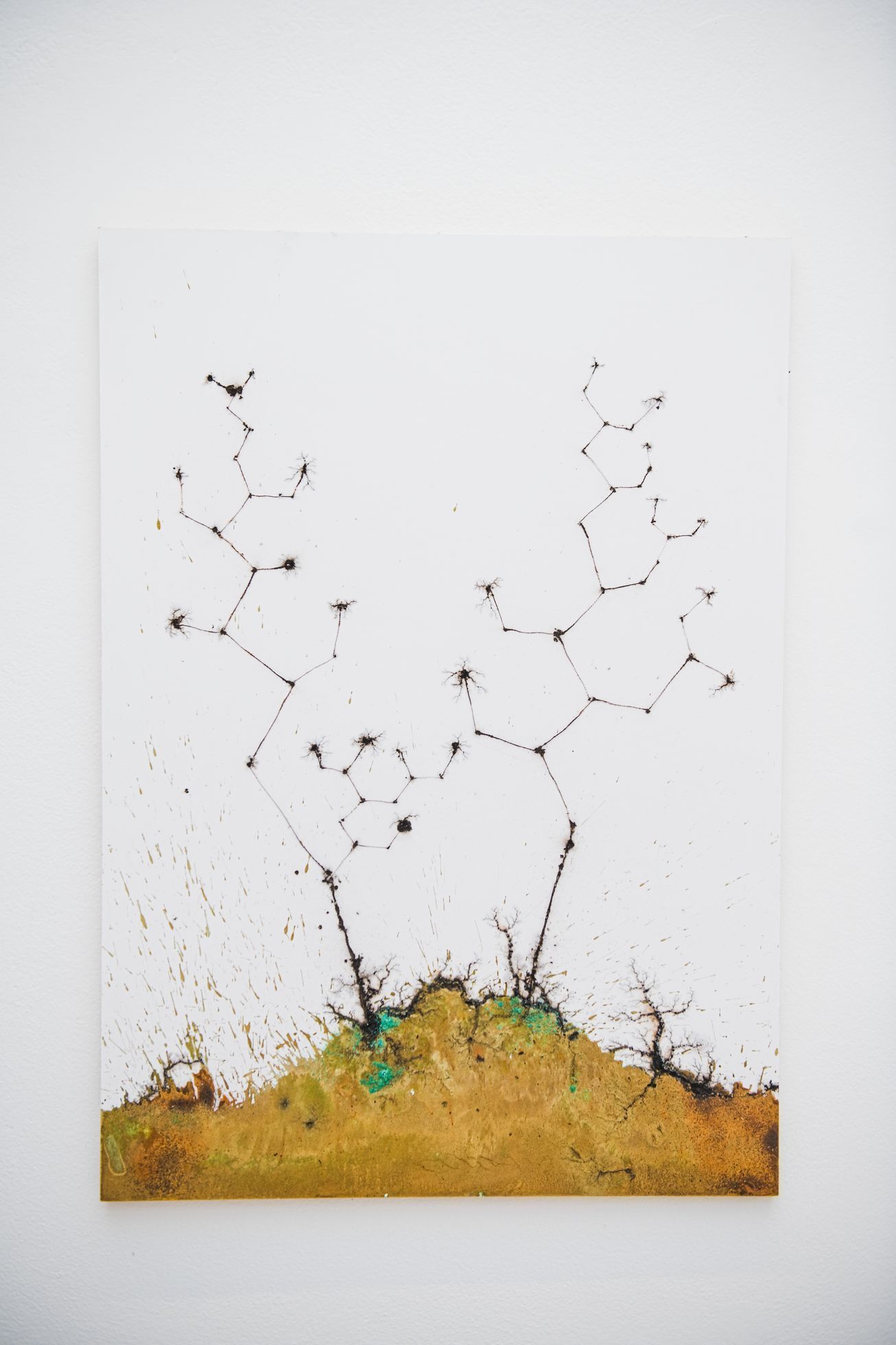 Krištof Kintera, Kalina Gallery, 2024