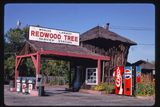 Benzinová pumpa a opravna World's Largest Redwood Tree. Route 101, Ukiah, Kalifornie, 1991