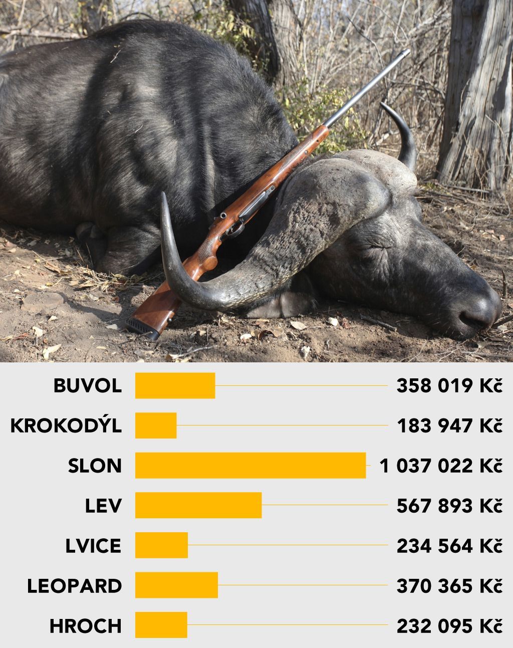 grafika - Vybíjení zvířat pokračuje - kolik stojí povolení k lovu