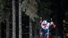 biatlon, SP 2018/2019, Pokljuka, vytrvalostní závod mužů, Tomáš Krupčík