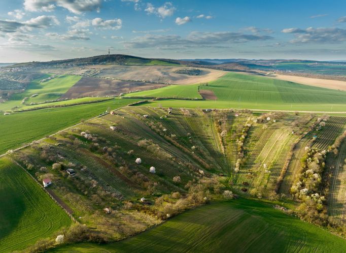 Moravské Slovácko, jižní Morava, fotografie z dronu, fotograf Radek Severa