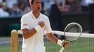 Djokovič vs. Del Potro, semifinále Wimbledonu 2013.