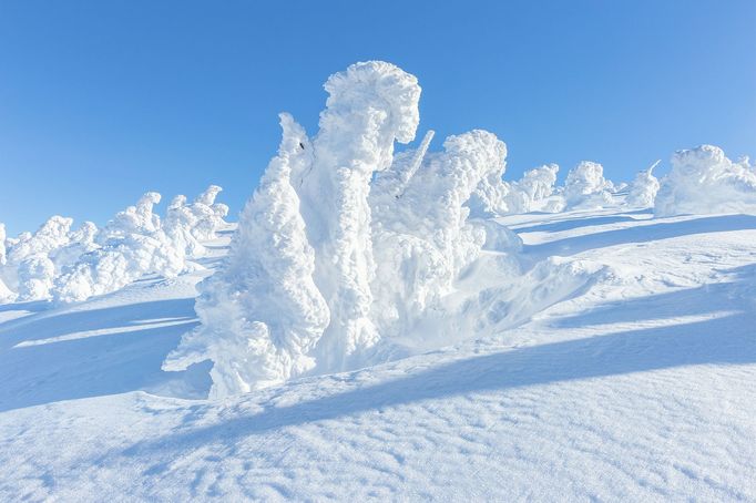 Krkonoše, zimní stezka z Lysé hory na Vrbatovu boudu